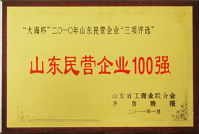 被評(píng)為“山東民營企業(yè)100強(qiáng)”